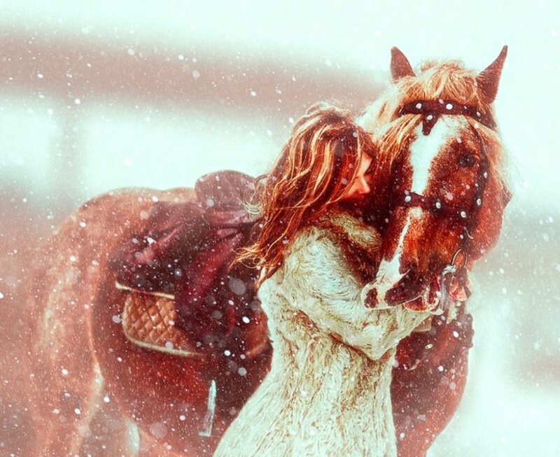 Woman Hugging Horse — Brown, Serene, Winter