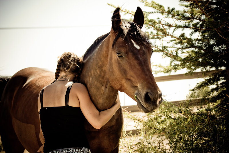 Woman Hugging Horse — Brown