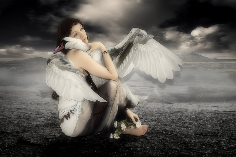 Woman Hugging Swan