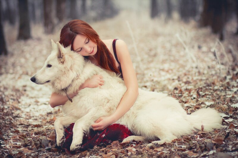Woman Hugging White Dog — Serene