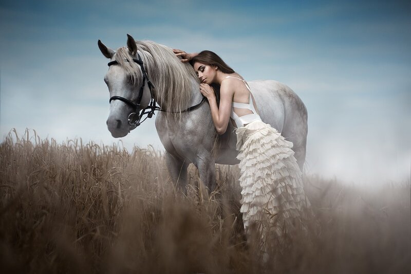 Woman Hugging White Horse — Serene, Afternoon, Photograph