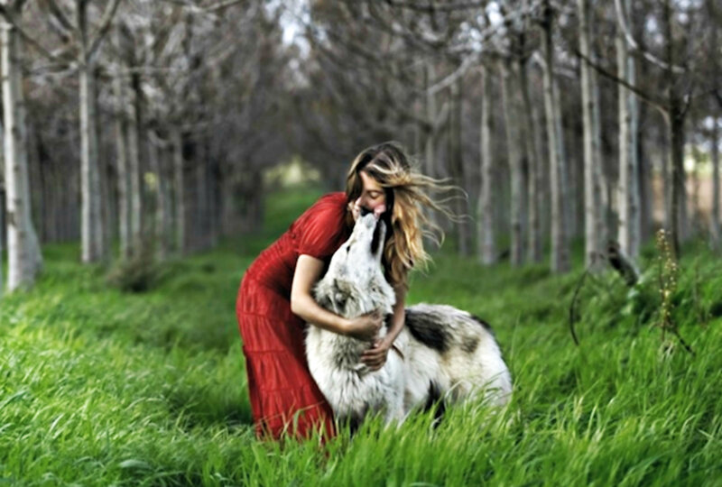 Woman Hugging Wolf — Green