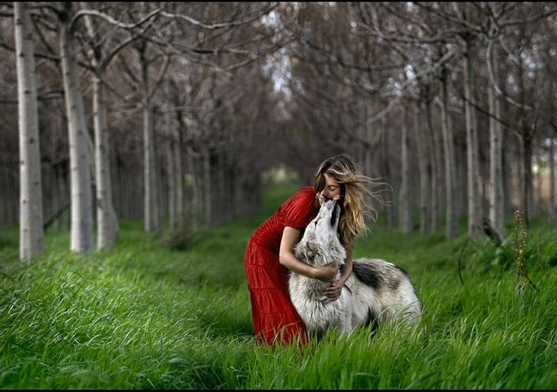 Woman Hugging Wolf — Red, Serene