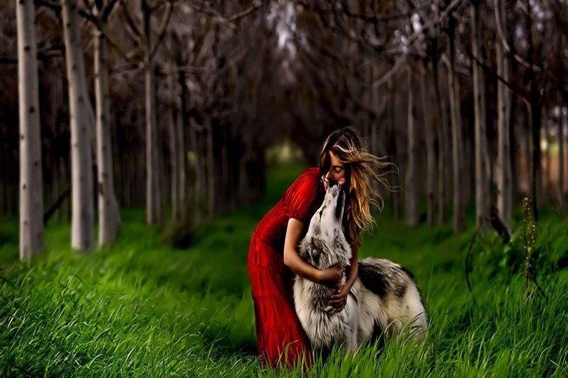 Woman Hugging Wolf — Red