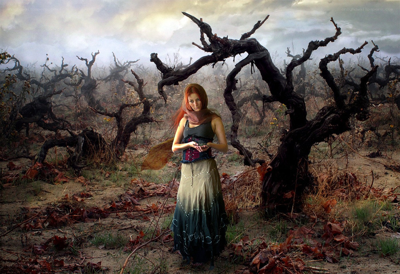 Woman in a barren vineyard