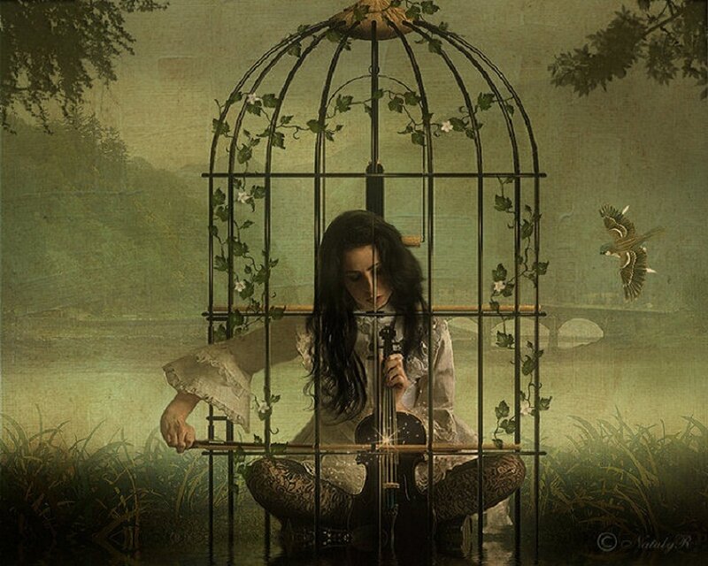 woman in a birdcage playing violin