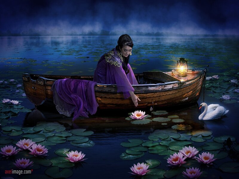 Woman in a Boat — Purple, Serene, Night, Digital Art, Swan