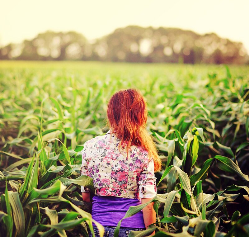 woman in a cornfield