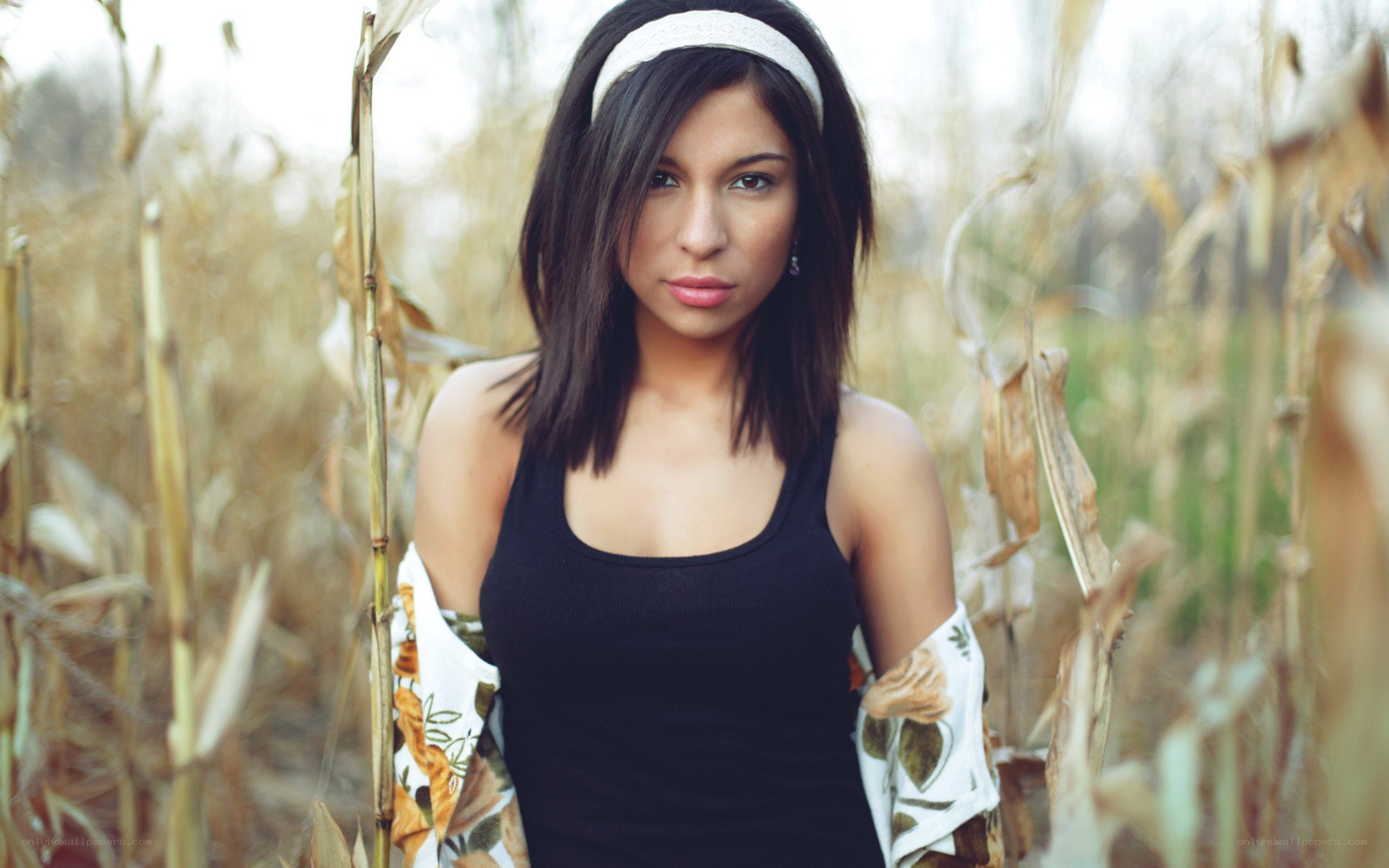 woman in a cornfield