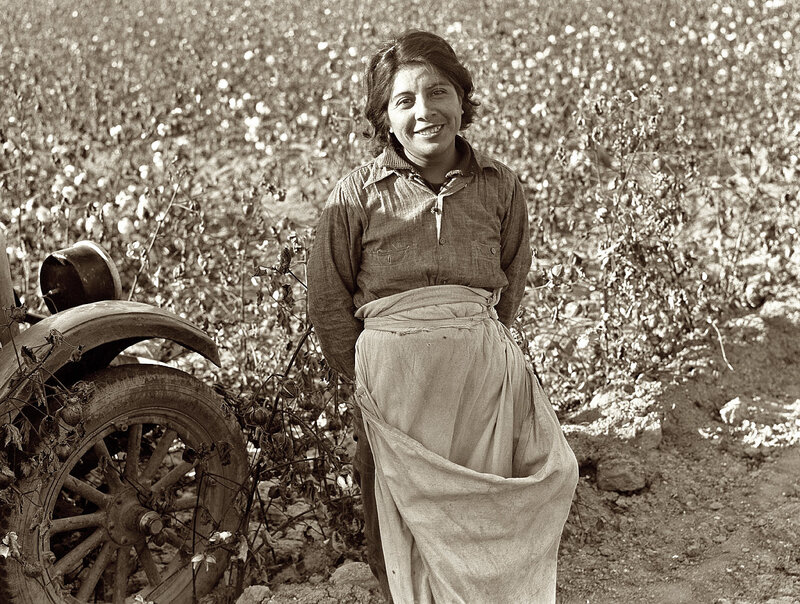 Woman in a cotton field