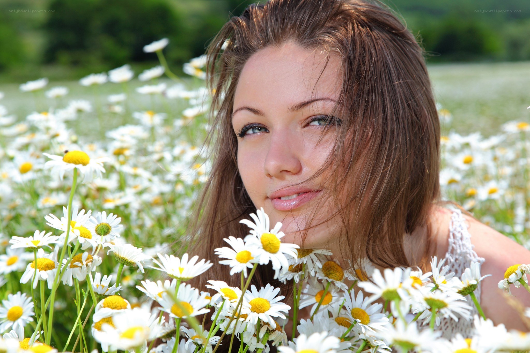 woman in a daisy field