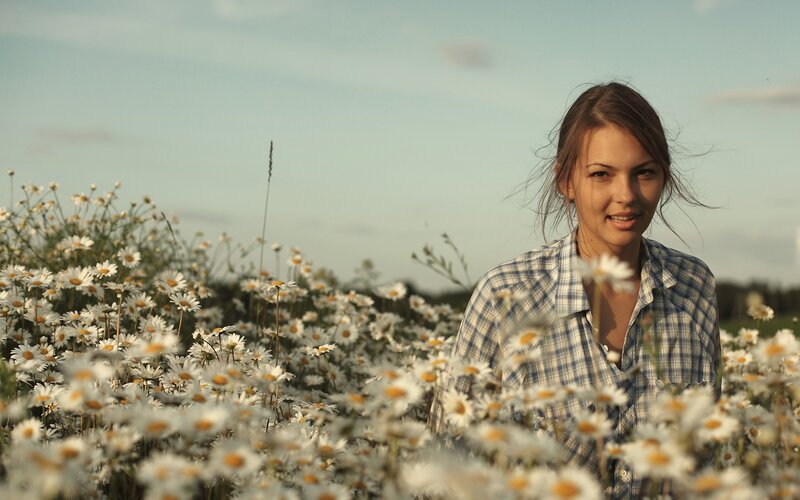 woman in a daisy field