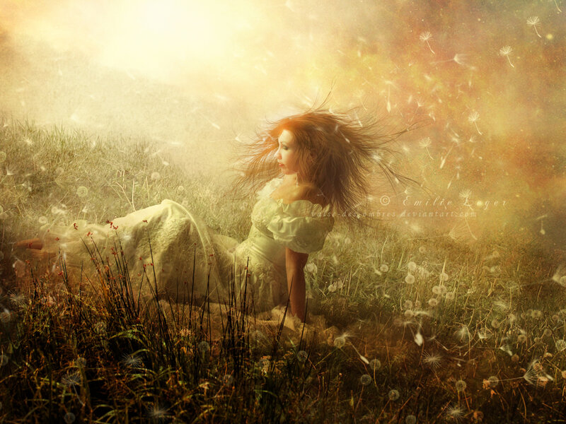 woman in a dandelion field