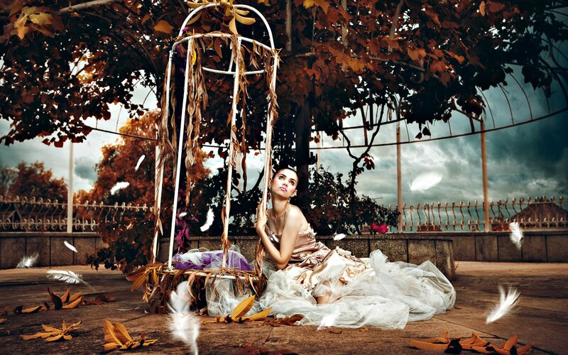 Woman in a Dress — Brown, Dramatic, Autumn, Photograph