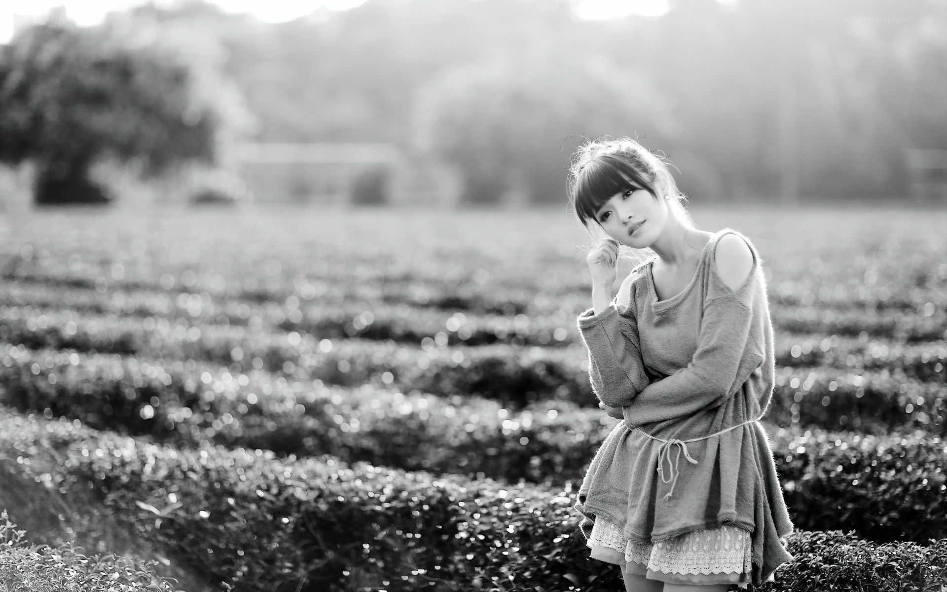 woman in a field at sunset