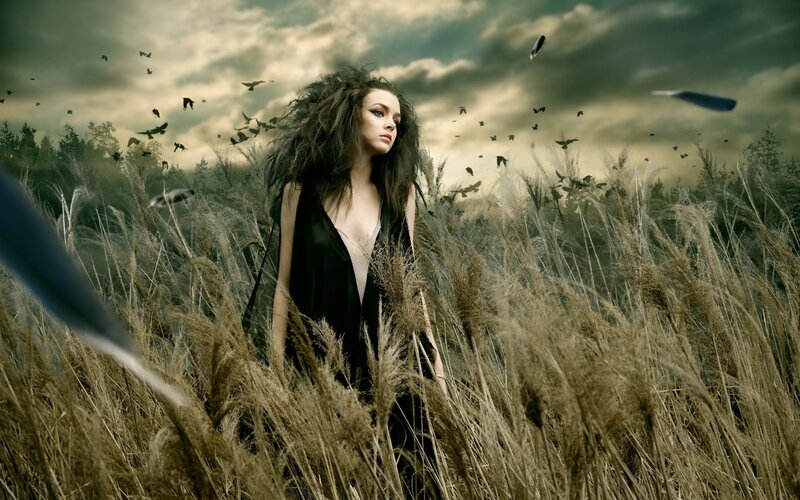 Woman in a Field — Brown, Dramatic, Afternoon, Digital Art