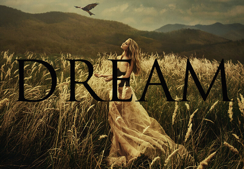 Woman in a Field — Brown, Dreamy