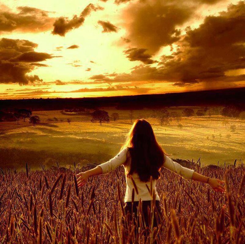 Woman in a Field — Gold, Serene, Sunset, Photograph, Sky