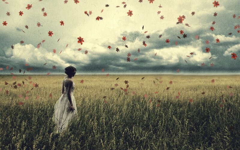 woman in a field of flowers