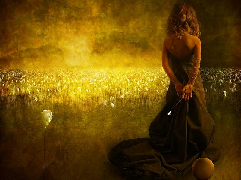 woman in a field of flowers