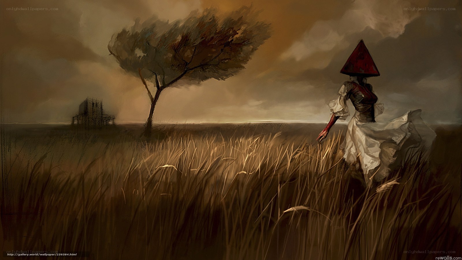Woman in a field with a cone hat