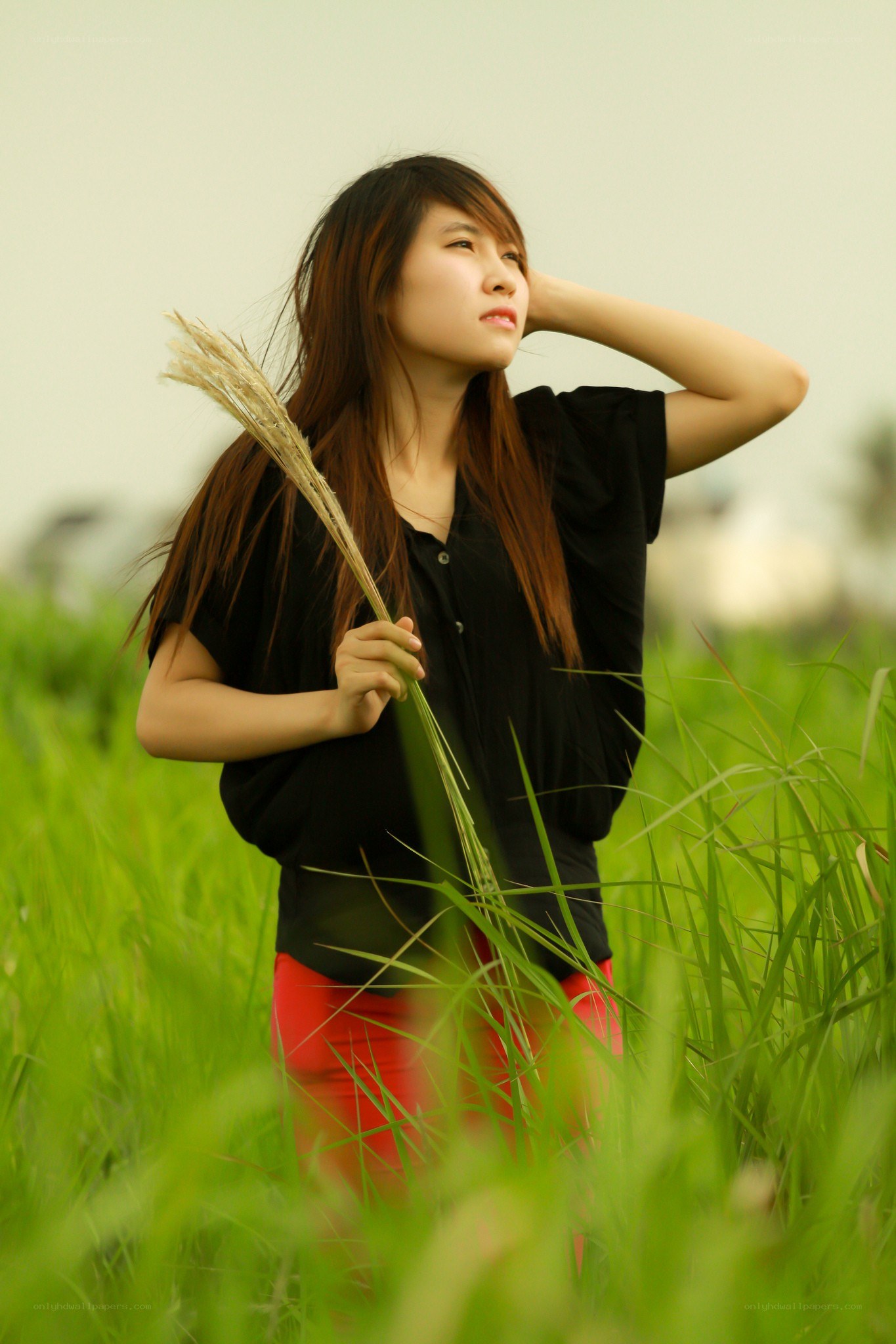 woman in a field with grass