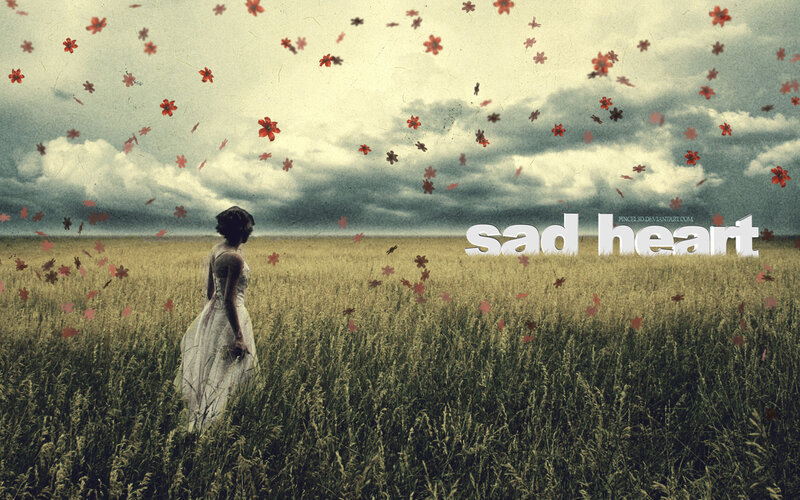 woman in a field with red flowers