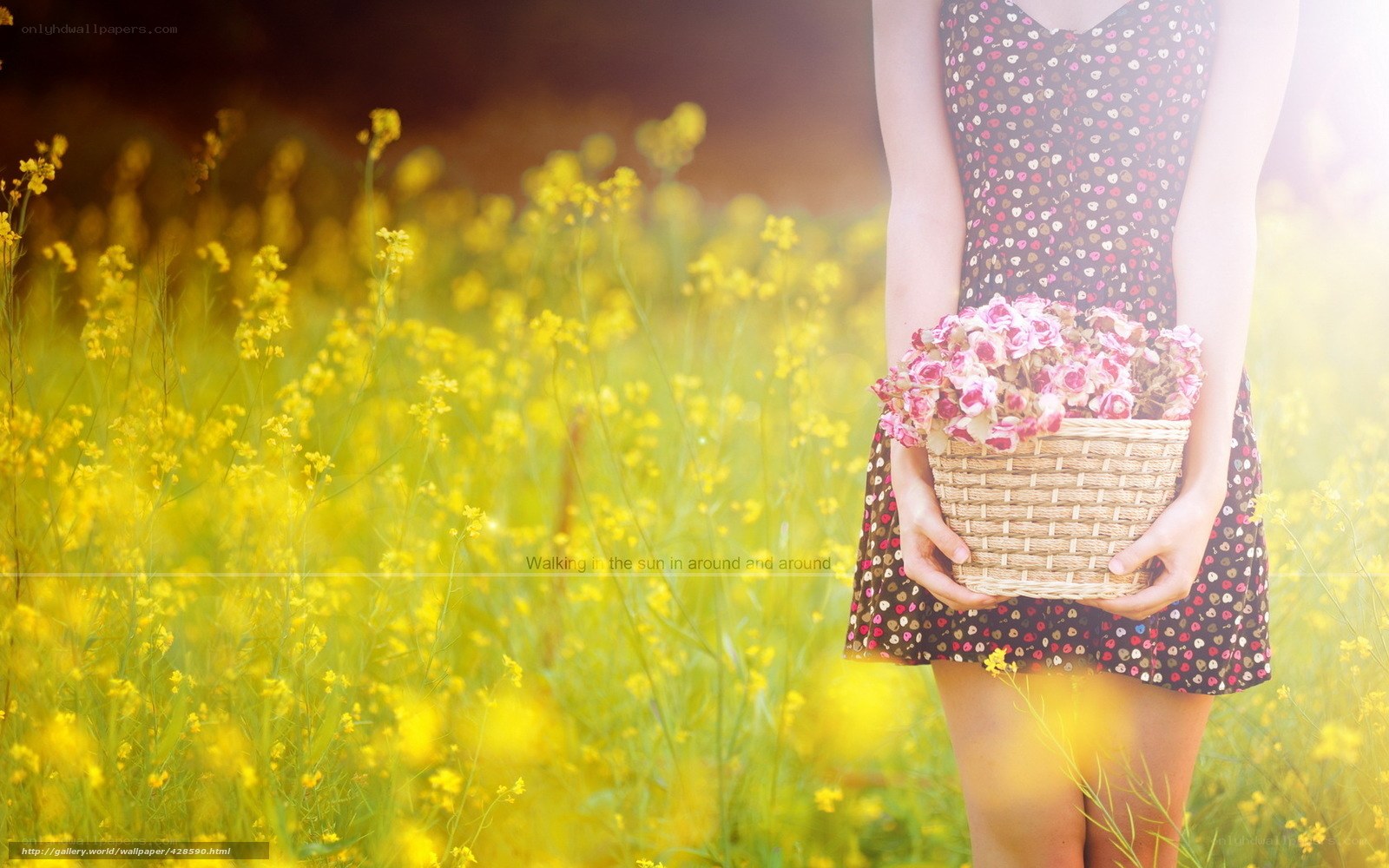 woman in a flower field