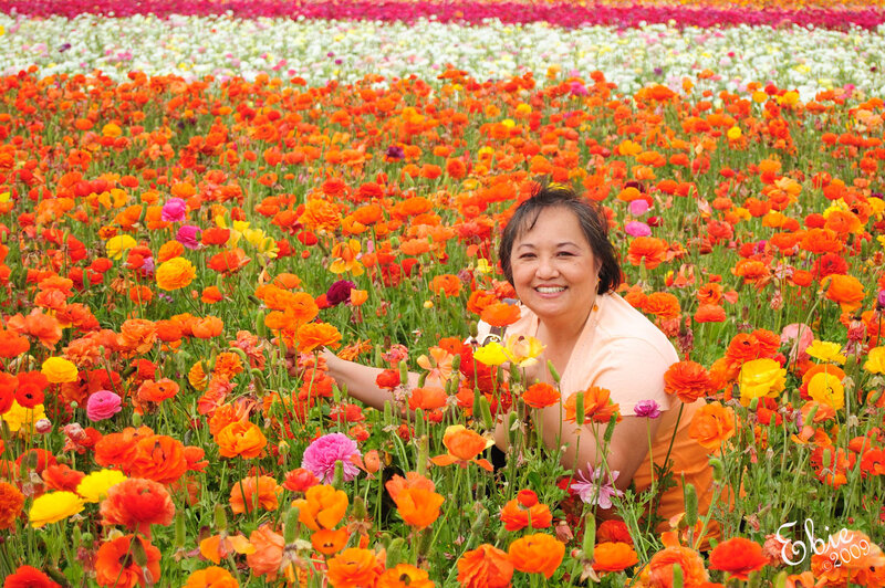 Woman in a flower field