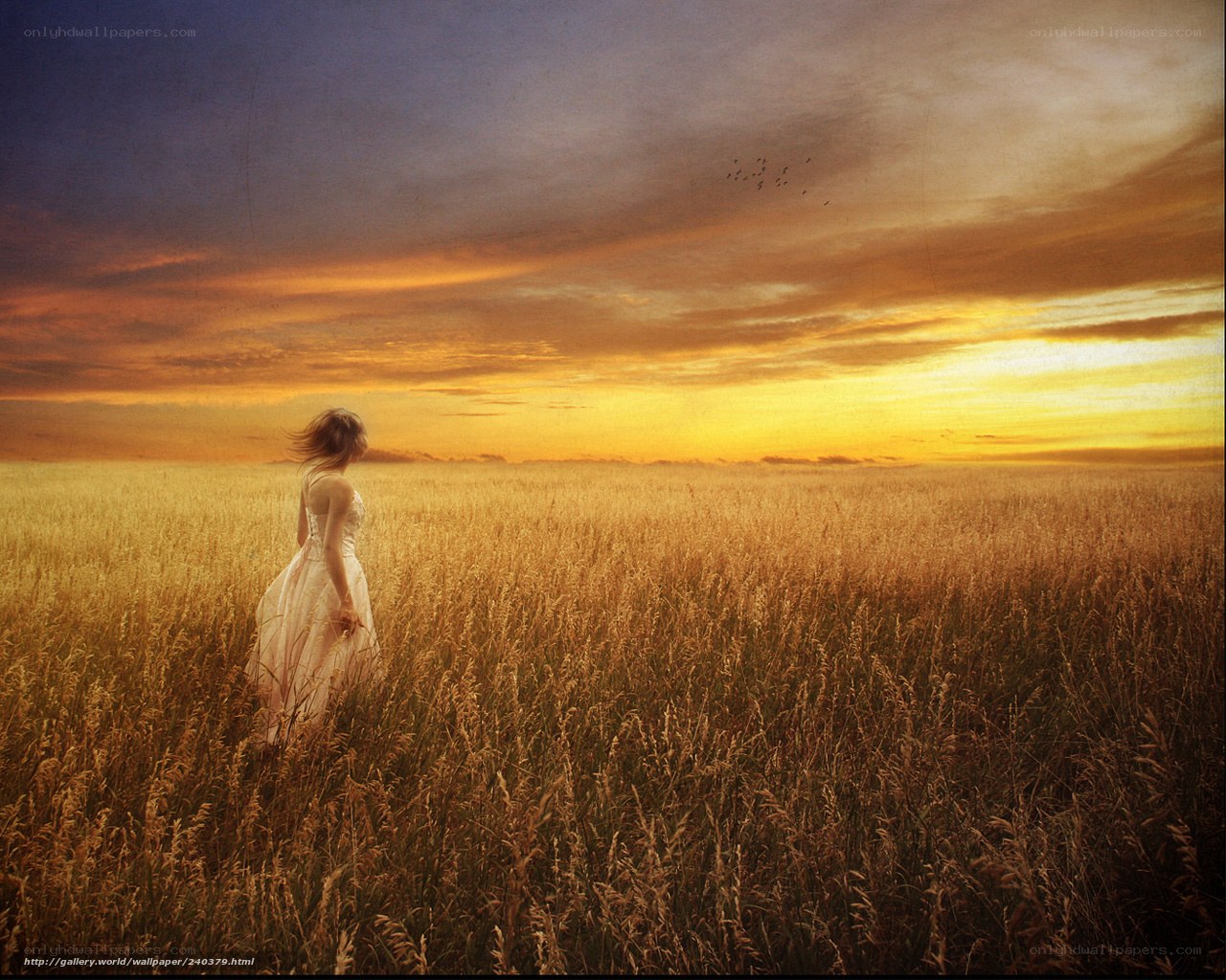 Woman in a golden field at sunset