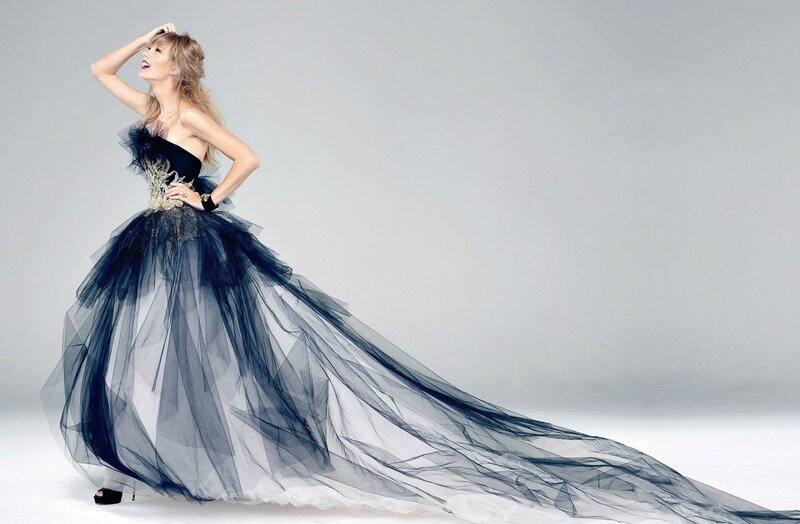 Woman in a Gown — Black, Dramatic, Photograph, Tulle