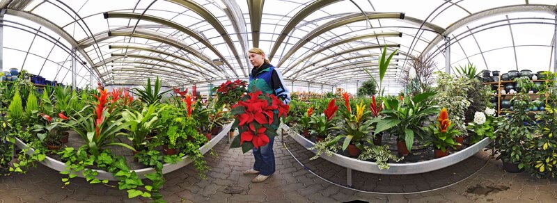 Woman in a greenhouse with plants