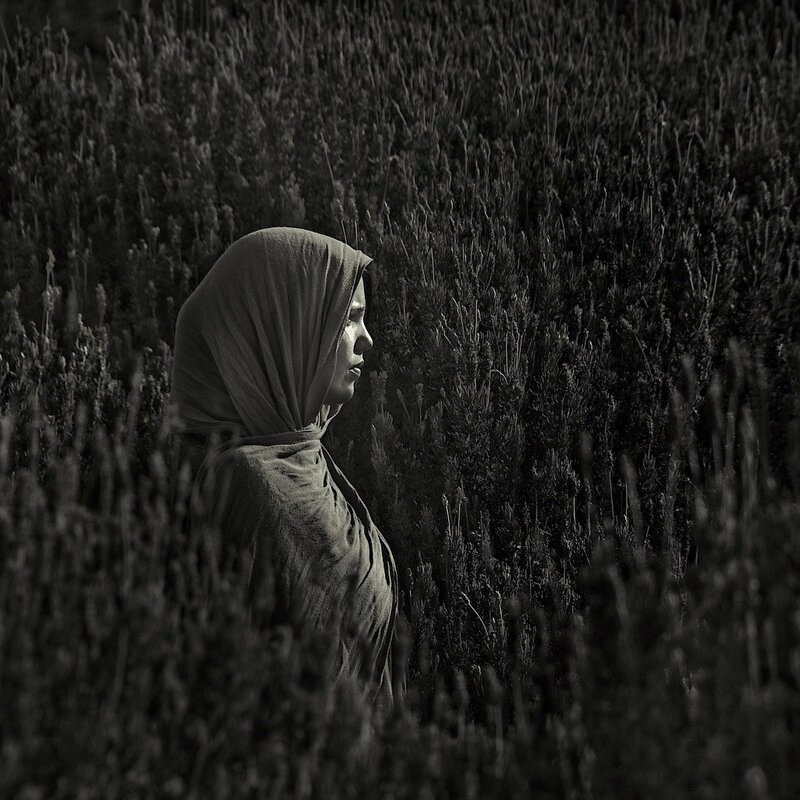 woman in a lavender field