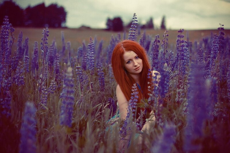 Woman in a lupine field