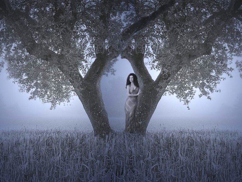 woman in a misty field