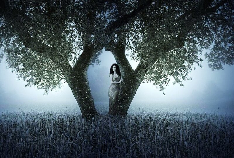 woman in a misty field