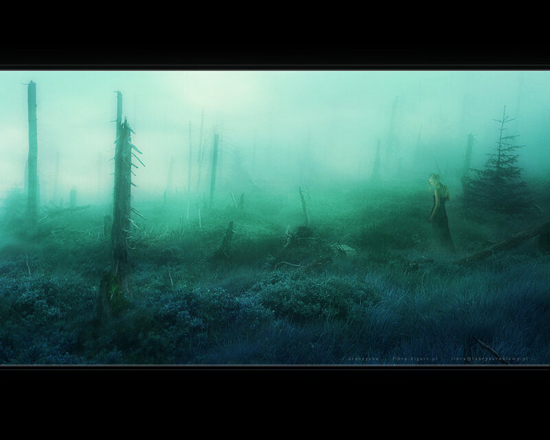 Woman in a misty forest