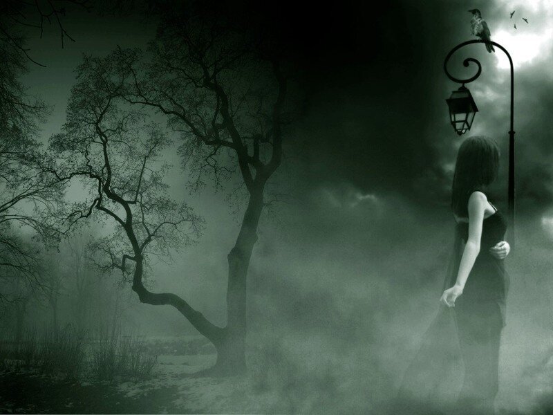 woman in a misty forest