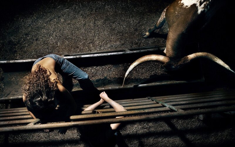Woman in a pen with longhorn