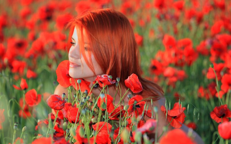 woman in a poppy field