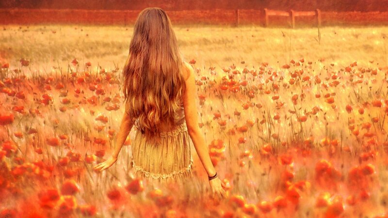 woman in a poppy field