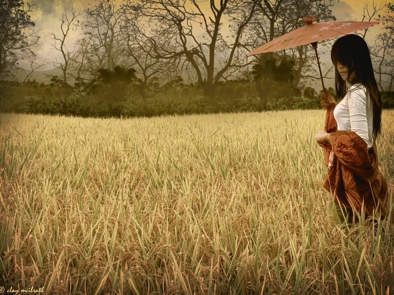Woman in a rice field