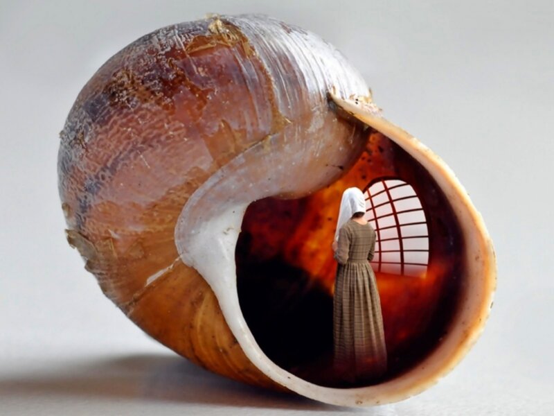 Woman in a Shell