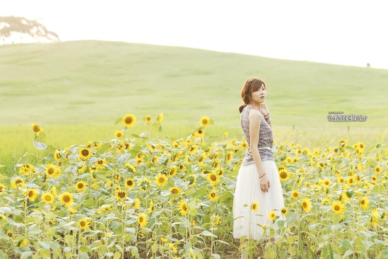 Woman in a sunflower field