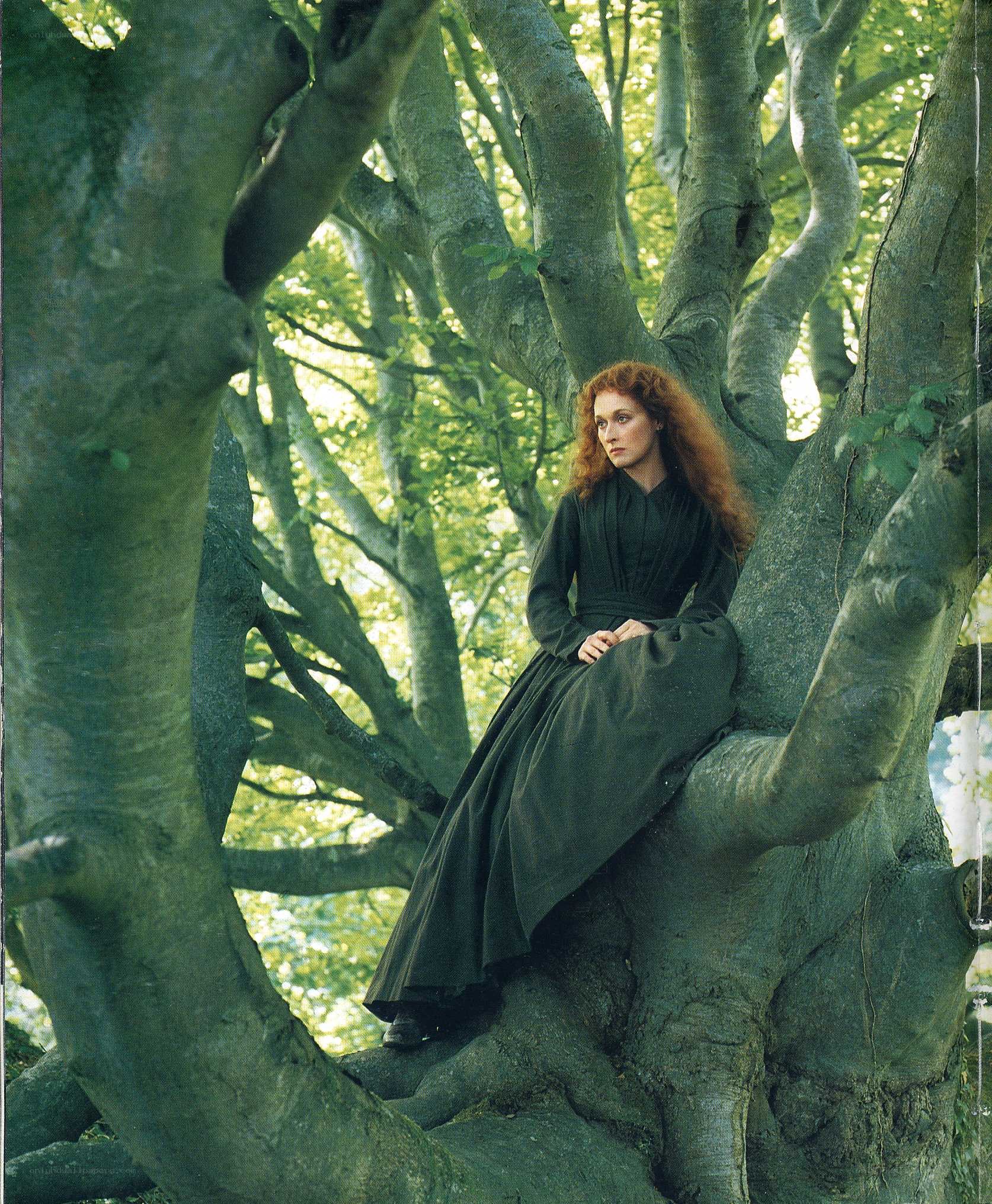 Woman in a tree