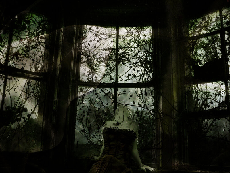 woman in a vine-covered window