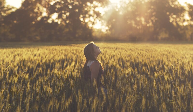 woman in a wheat field at sunset