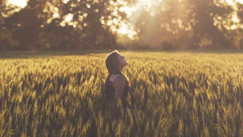 woman in a wheat field at sunset