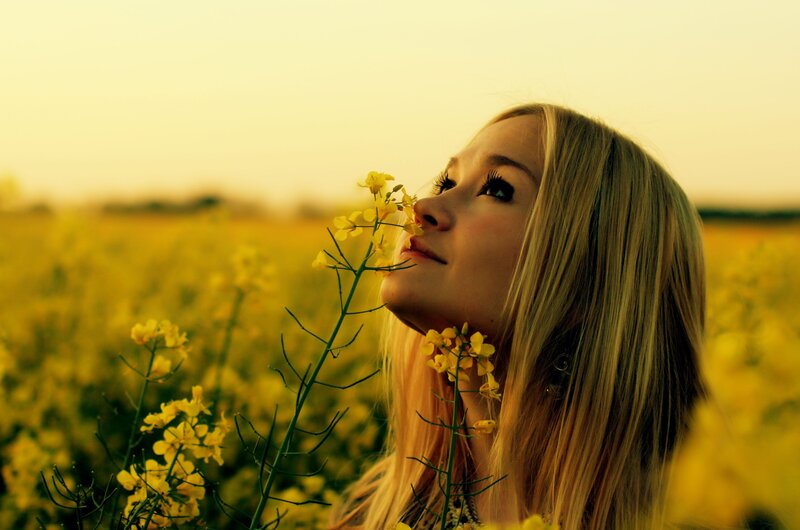 woman in a yellow flower field