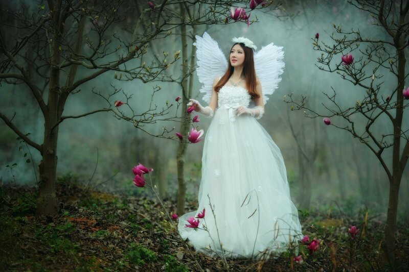 Woman in Angel Costume — White, Serene, Spring, Photograph